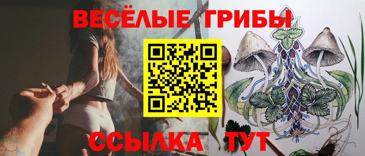 купить наркотик  Вход с VPN  Кириши  Галлюциногенные грибы GOLDEN TEACHER  Псилоцибиновые грибы ЛСД 