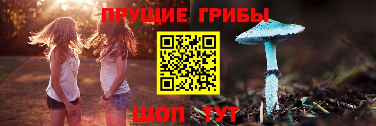 Псилоцибиновые грибы Cubensis Кириши